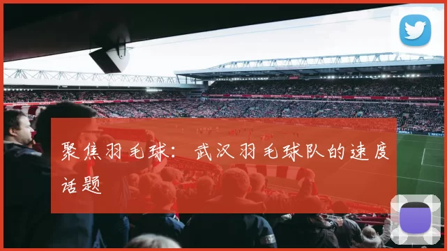 聚焦羽毛球：武汉羽毛球队的速度话题
