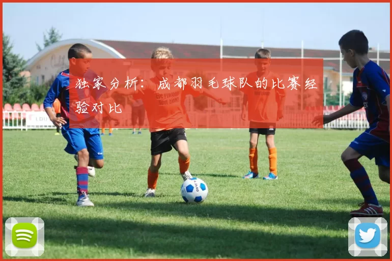独家分析：成都羽毛球队的比赛经验对比