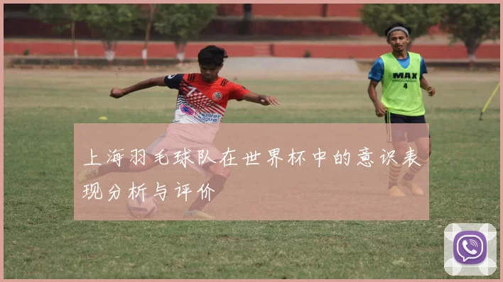 上海羽毛球队在世界杯中的意识表现分析与评价