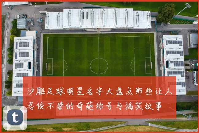 沙雕足球明星名字大盘点那些让人忍俊不禁的奇葩称号与搞笑故事
