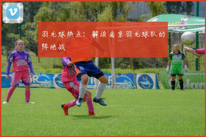 羽毛球热点：解读南京羽毛球队的阵地战