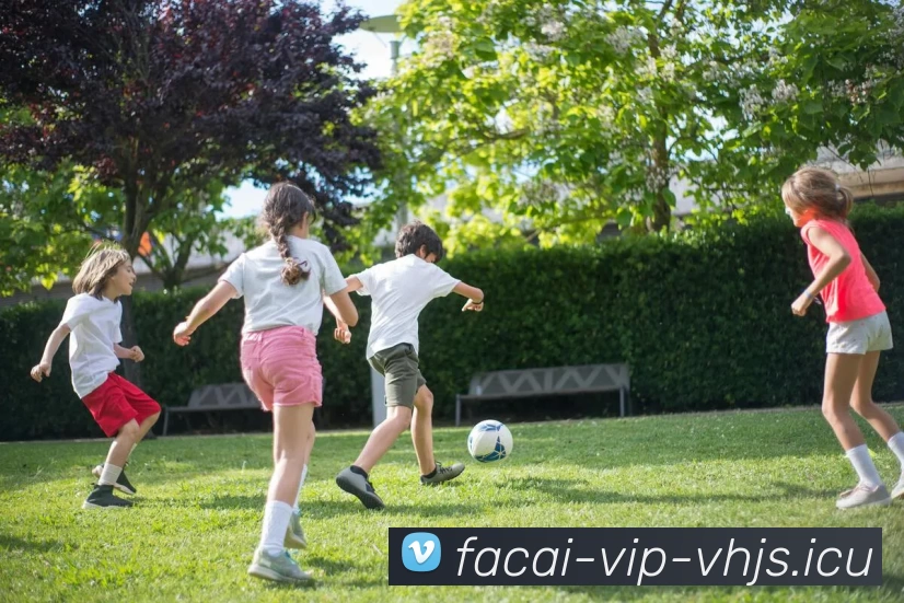 App Interface Preview