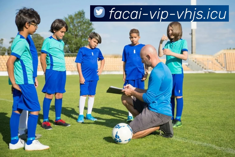 MK体育APP 封面图